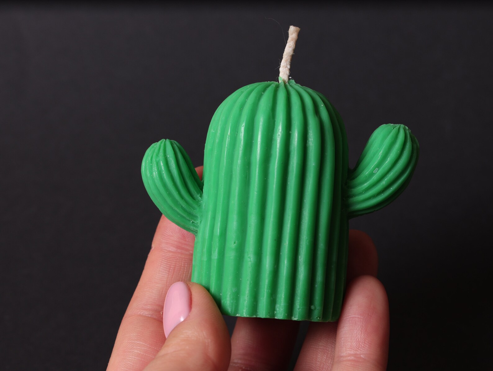 Set of 2 Cactus Candle Plant Candle Design candle Home Etsy