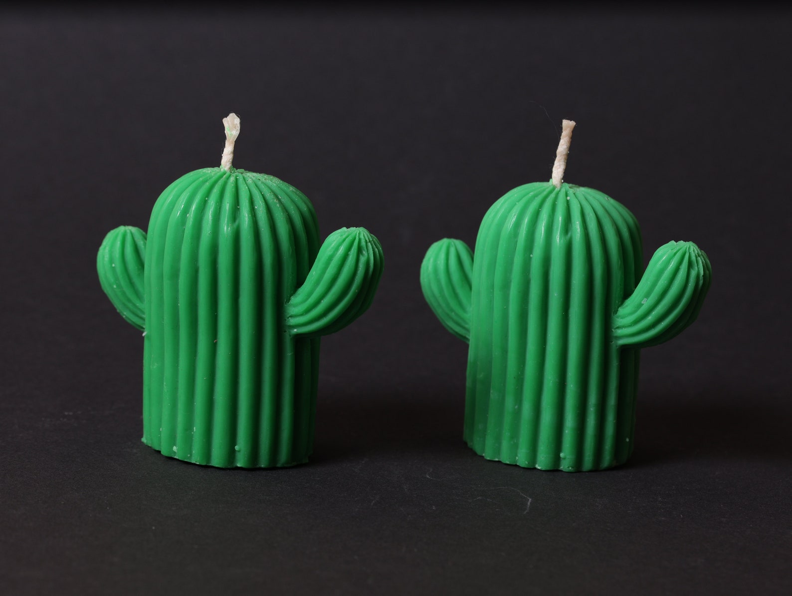 Set of 2 Cactus Candle Plant Candle Design candle Home Etsy