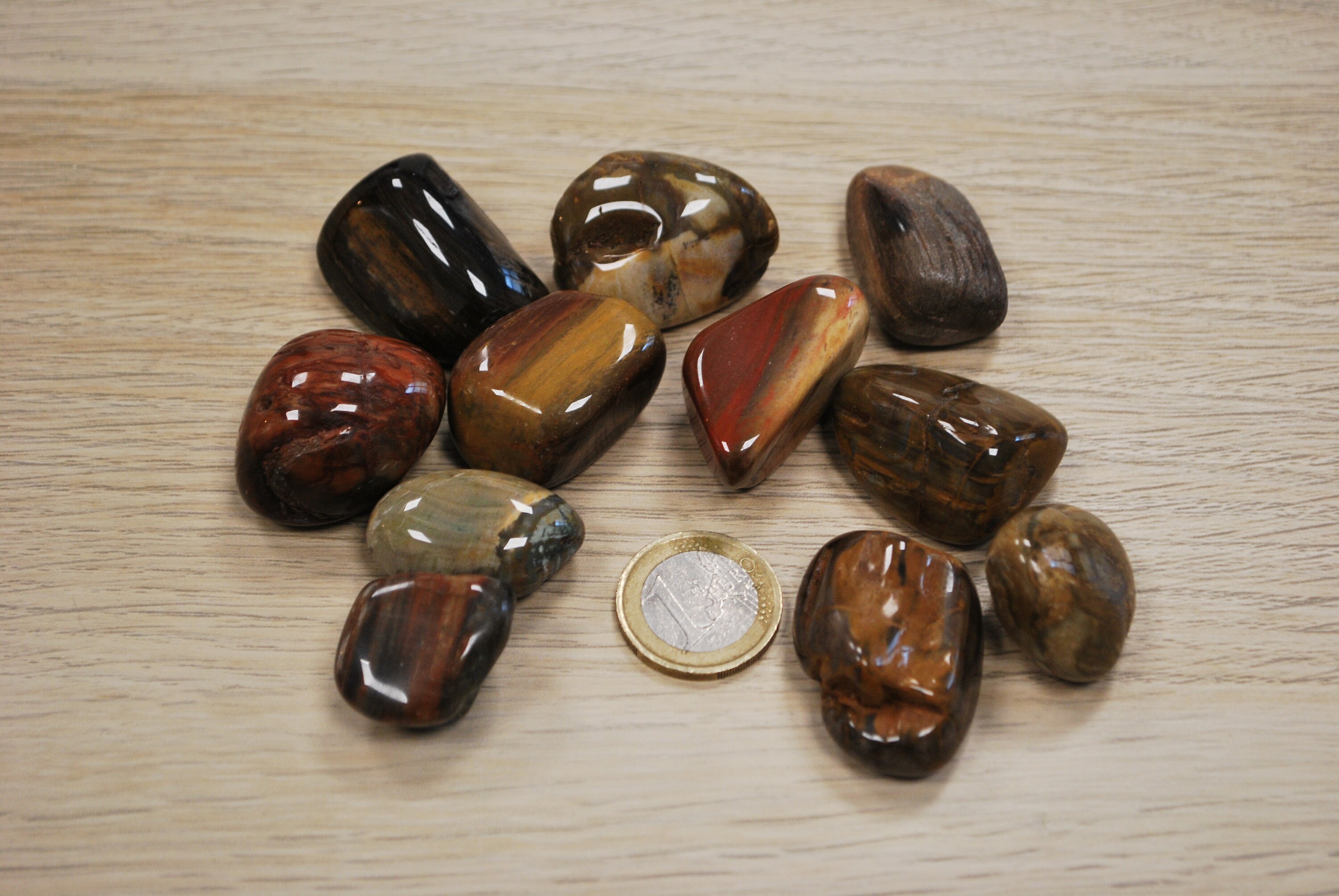 Bois Fossilisé Pierre Roulée