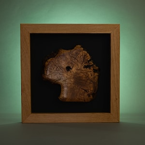 May include: A framed piece of wood with a natural, rustic finish. The wood has a unique, organic shape and a dark brown color. The frame is made of light brown wood and has a simple, elegant design.