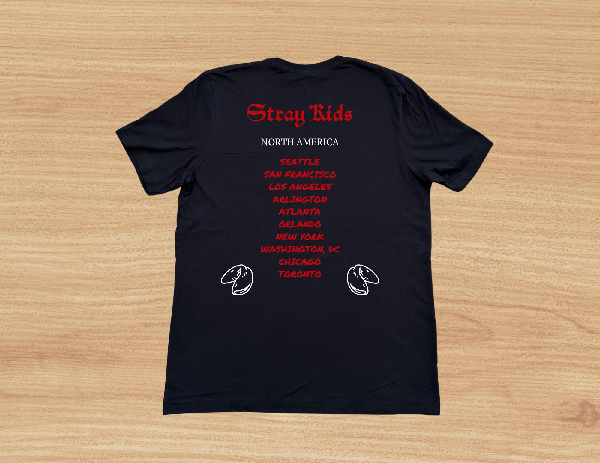 Stray Kids Dominate World Tour Fan Merch T-shirt XS-4X - Etsy