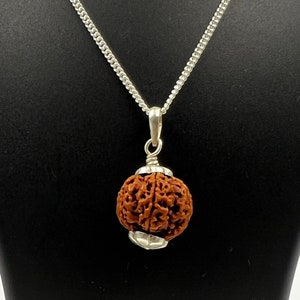 5 Mukhi Nepali Rudraksha 925 Silver Pendant | Certified Lord Shiva's Panchmukhi Face | Sacred Rudraksh Jewelry| Rare Finds