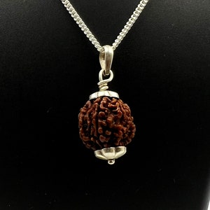 Certified 7 Mukhi Nepali Rudraksha 925 Silver Pendant: Chakra Amulet