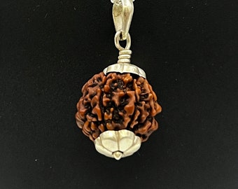 6 Mukhi Rudraksha 925 Sterling Silver Pendant: Spiritual Necklace