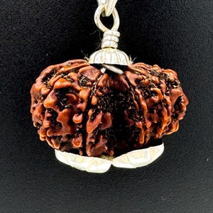 Garbh Gauri Rudraksha 925 Silver Pendant | Sacred Rudraksha Necklace for Fertility & Protection | Certified Spiritual Jewelry
