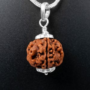 5 Mukhi nepalesische Rudraksha 925er Silber Anhänger: Heiliger Schmuck | Zertifiziertes Panchmukhi-Gesicht von Lord Shiva