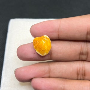 Natural Macch Mani Stone: Lab Certified Fish Pearl Pendant