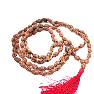 2 Mukhi Rudraksha Mala 108+1 Beads | Certified Natural Java Rudraksha Japa Mala | Spiritual Meditation Necklace for Men & Women