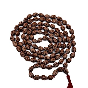 4 Mukhi Rudraksha Java Mala | Certified Japa Meditation Beads | 108+1 Beads