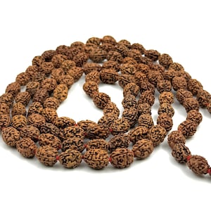 3 Mukhi Rudraksha Mala: Certified Authentic Japa Beads, Meditation & Healing