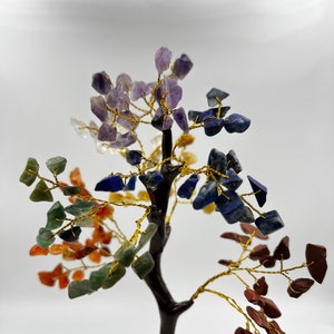 7 Chakra Crystal Tree of Life: Feng Shui Bonsai Decor