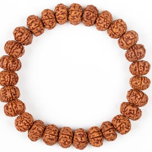 6 Mukhi Rudraksha Armband - Dehnbar & verstellbar, zertifizierte spirituelle Heilperlen