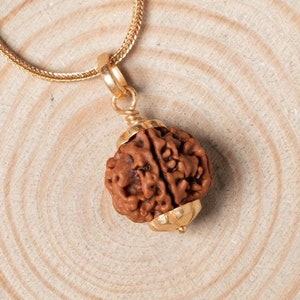 5 Mukhi Rudraksha Gold Pendant: Certified Spiritual Necklace