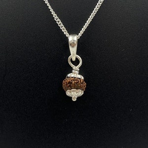 11 Mukhi Indonesia Rudraksha 925 Silver Pendant|Certified Spiritual Jewelry|Eleven Face Rudraksha Necklace|Healing Pendant|Rudraksha Bead