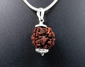 4 Mukhi Nepali Rudraksha 925 Silver Pendant: Spiritual Necklace