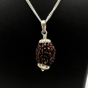 Certified 3 Mukhi Nepali Rudraksha 925 Silver Pendant | Sacred 3 Face Bead Necklace | Sacred rare bead rudraksh | Etsy Exclusive