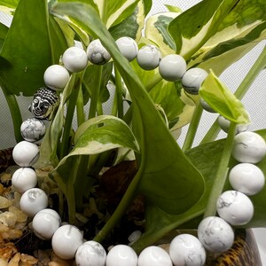 May include: White howlite beaded bracelet with a silver Buddha charm. The bracelet is displayed on a potted plant.