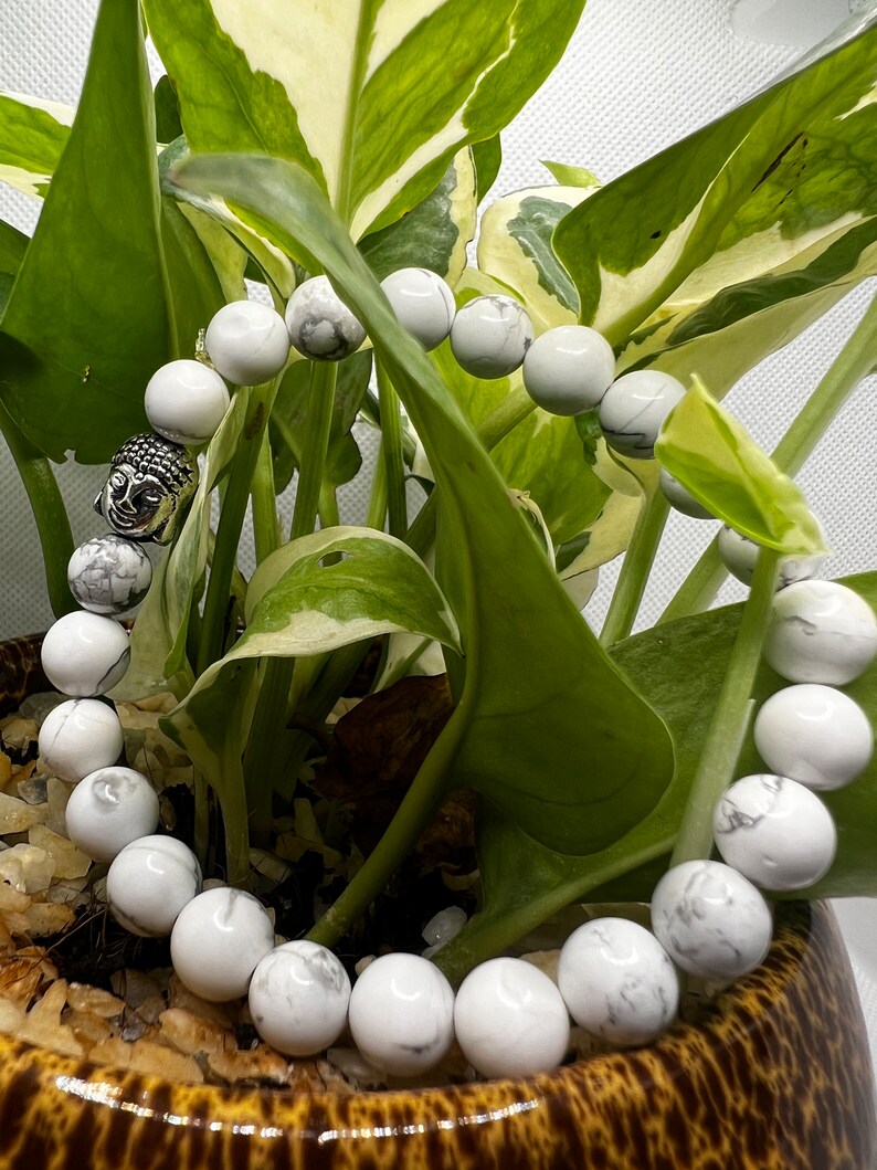 May include: White howlite beaded bracelet with a silver Buddha charm. The bracelet is displayed on a potted plant.