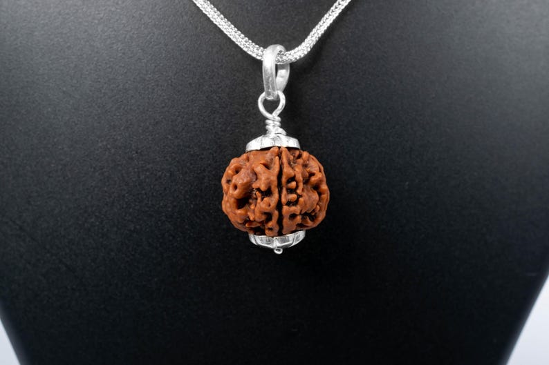 4 Mukhi Nepali Rudraksha 925 Silver Pendant | Spiritual Necklace