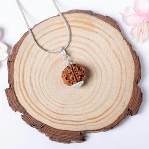 4 Mukhi Nepali Rudraksha 925 Silver Pendant | Spiritual Necklace