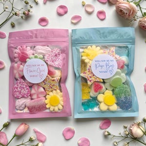 Peut inclure: Deux sachets debout remplis de bonbons gélifiés assortis. Le sachet rose porte une étiquette Will You Be My Flower Girl Sofia ? et le sachet bleu clair une étiquette Will You Be My Page Boy Noah ? avec des icônes de cœur.