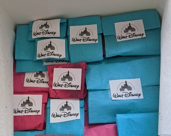 Disney Inspired Mystery Box - Disney Inspired Merch/Disney Gift Idea/Mystery Box Bundle