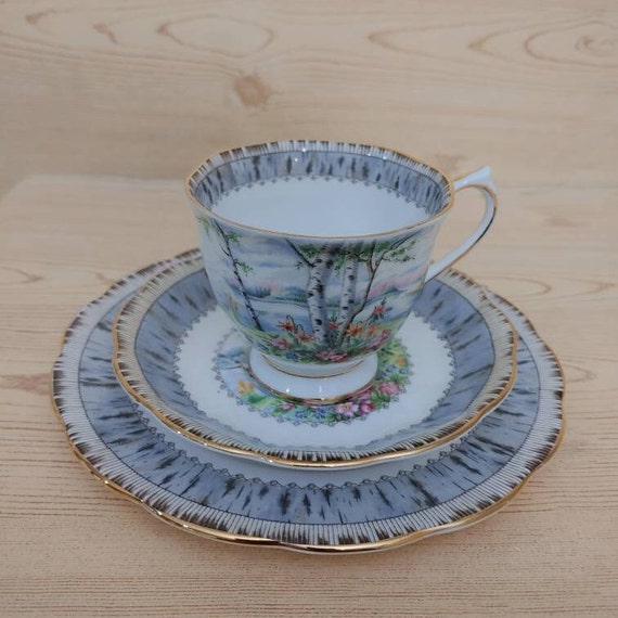 ROYAL ALBERT - 【レア美品】ロイヤルアルバート☆シルバーバーチ