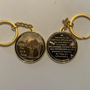 May include: Gold-tone keychain with two round metal tags. One tag features a camel silhouette with the text "One Day At A Time" and "UNITY12.COM". The other tag features a dragonfly and butterfly with the text "DAILY REPRIEVE BASED ON OUR SPIRITUAL CONDITION", "WE find that no one need have difficulty with the spirituality of the program. WILLINGNESS, HONESTY and open MINDEDNESS are the essentials of recovery. But these are indispensable. ONE DAY AT A TIME."