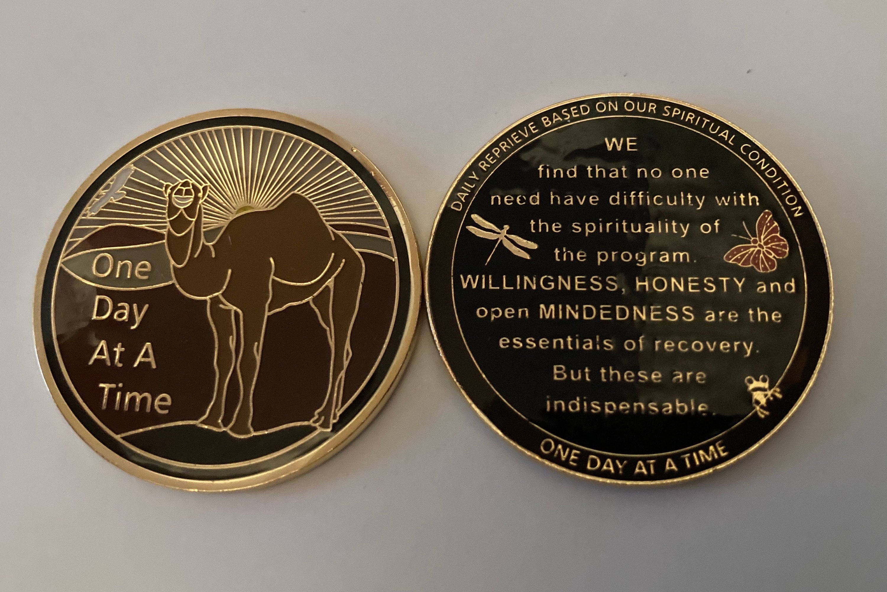 One Day at a Time Camel Tri-plated Token. Designed and Sold Only From  Michigan. Original U16 Product (C)2019/2025 Unity16.com. - Etsy