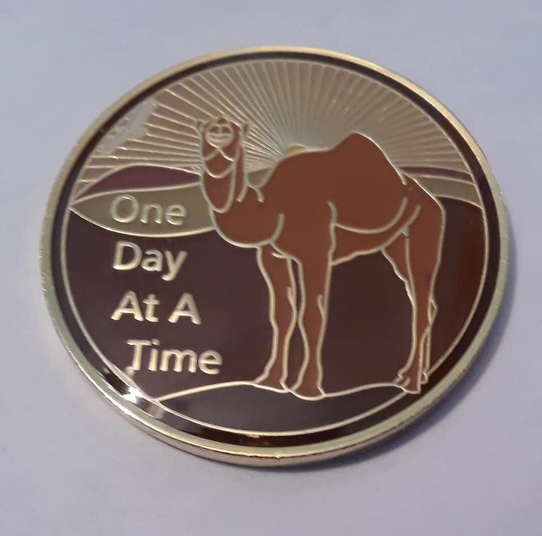 One Day at a Time Camel Tri-plated Token. Designed and Sold Only From  Michigan. Original U16 Product (C)2019/2025 Unity16.com. - Etsy