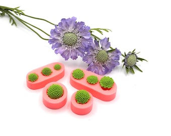 Scabiosa Center Form