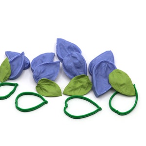 Lisianthus (Eustoma) leaves