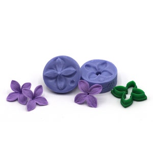 Fiore di lillà L