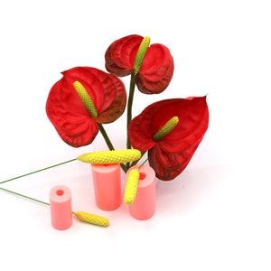 Centro Anthurium (Spadix)