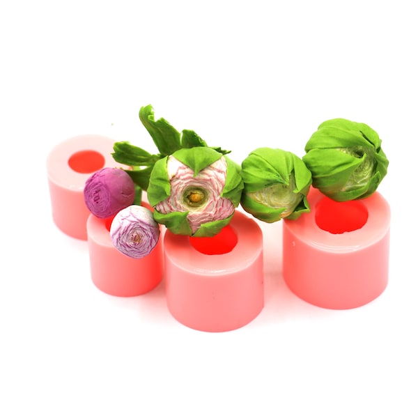 Boutons floraux de renoncule