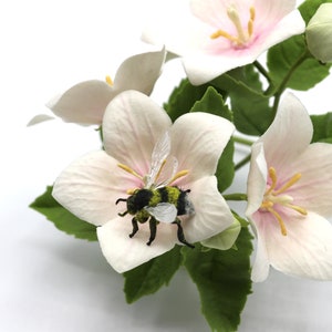 Pu&ograve; includere: Primo piano di un fiore bianco con un'ape sopra. Il fiore ha un centro rosa ed &egrave; circondato da foglie verdi.