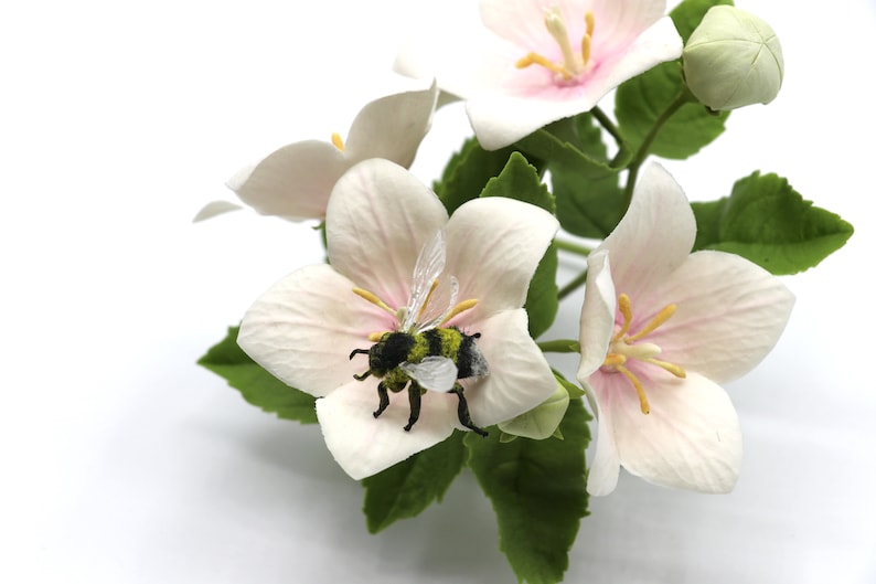 Pu&ograve; includere: Primo piano di un fiore bianco con un'ape sopra. Il fiore ha un centro rosa ed &egrave; circondato da foglie verdi.