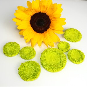 Op de afbeelding: Een felgele zonnebloem met een donkerbruin hart is omringd door zeven groene, ronde, getextureerde objecten. De objecten zijn in een halve cirkel rond de zonnebloem gerangschikt.