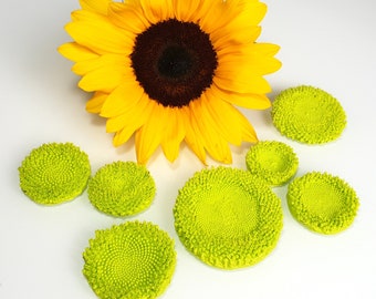 Sunflower Center