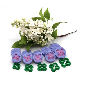 Lilac flowers
