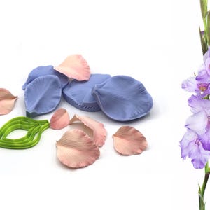 May include: Artificial flower petals in pink and blue, with a green leaf-shaped cutter. A sprig of purple gladiolus flowers is on the right. The petals are arranged on a white background. The petals are in shades of pink and blue.