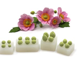 Puede incluir: Cinco moldes de silicona rectangulares blancos con elementos decorativos redondos verdes. Los moldes están dispuestos en una fila del más pequeño al más grande. Un ramo de flores rosas con hojas verdes está en el fondo.