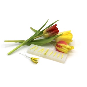 Könnte beinhalten: Nahaufnahme einer weißen Oberfläche mit gelben Tulpenblättern, die in Reihen angeordnet sind. Im Hintergrund befindet sich ein Strauß roter und gelber Tulpen mit grünen Stielen.