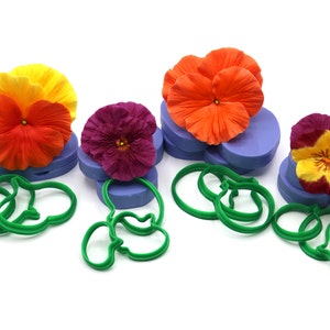 Puede incluir: Un juego de cuatro moldes de silicona para hacer pensamientos, con tres pensamientos de diferentes colores y cortadores verdes para las hojas.