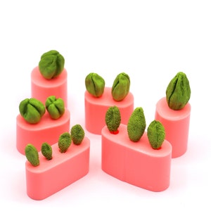 Boccioli di papavero