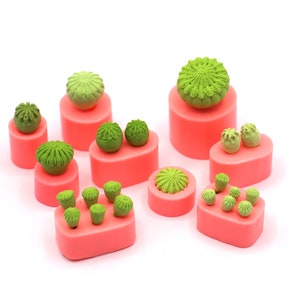 Può includere: Un set di nove stampi in silicone rosa per realizzare piccole decorazioni a forma di succulente. Gli stampi sono disposti su una superficie bianca e presentano diverse forme e dimensioni di succulente.