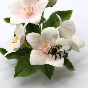 Pu&ograve; includere: Un gruppo di delicati fiori bianchi con centri rosa, circondati da foglie verdi. Una piccola ape nera e gialla &egrave; posata su uno dei fiori.