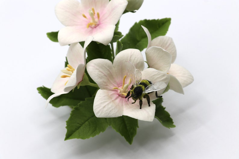 Pu&ograve; includere: Un gruppo di delicati fiori bianchi con centri rosa, circondati da foglie verdi. Una piccola ape nera e gialla &egrave; posata su uno dei fiori.