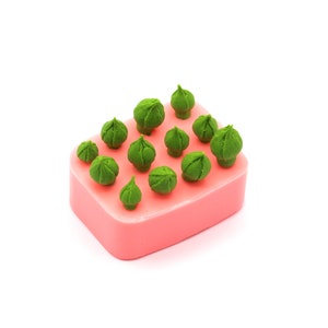 Boccioli di rosa a grappolo