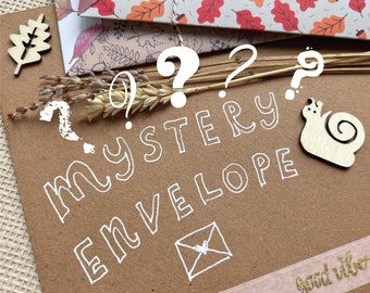 Mysterie-envelop voor snailmail | Vrolijke post | Liefhebbers van postcrossing met ansichtkaarten en stickervellen voor slakkenpost gemaakt door Julia Swan